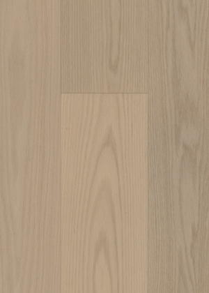 Oak: Barrista