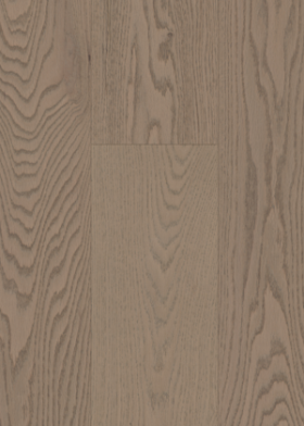 Oak: Camel
