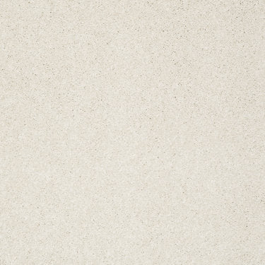 Take the Floor Texture Blue Carpet