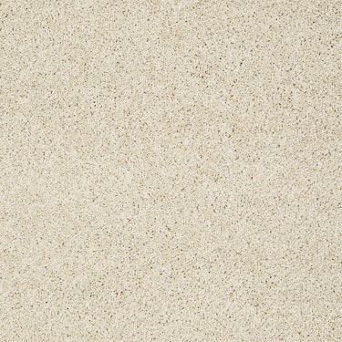 Take the Floor Twist I Carpet