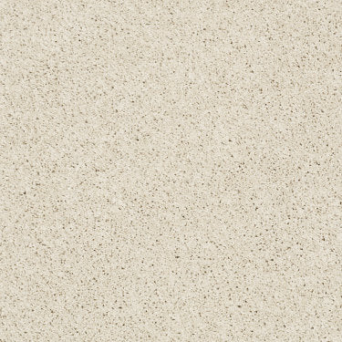 Take the Floor Twist II Carpet