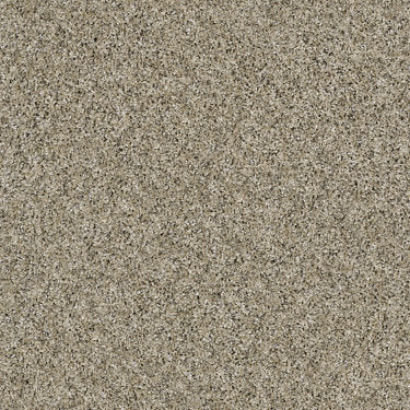 Absolutely It Carpet