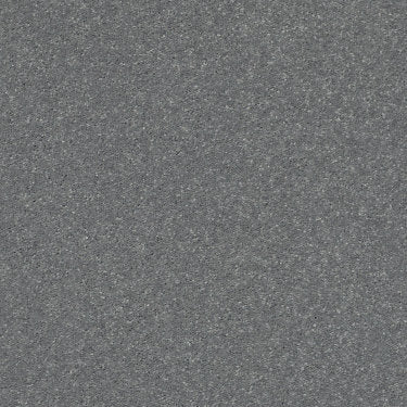 Solidify I 12' Carpet