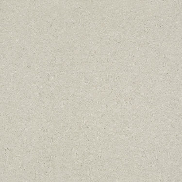 Solidify II 12' Carpet