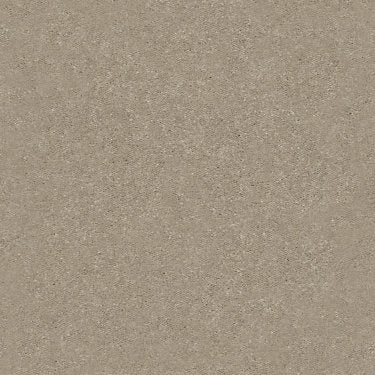 Solidify II 15' Carpet