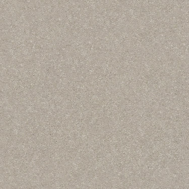 Solidify III 15' Carpet