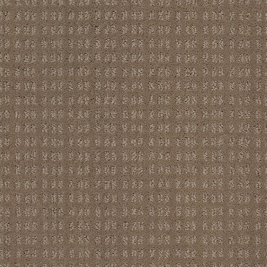 Essential Now Carpet