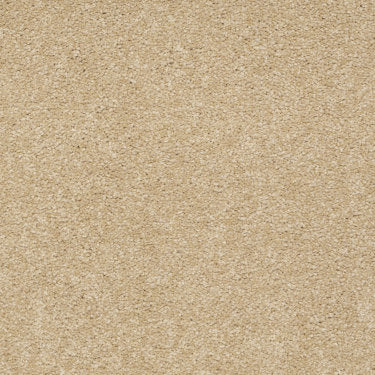 Sandy Hollow Classic III 15 Carpet