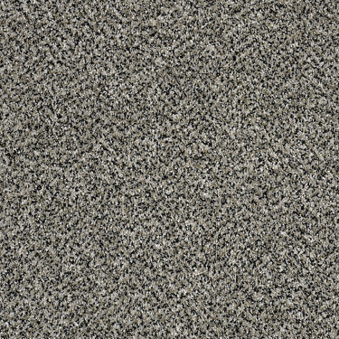 Because We Can III 12 Carpet