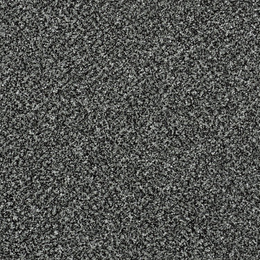 Because We Can I 15' Carpet