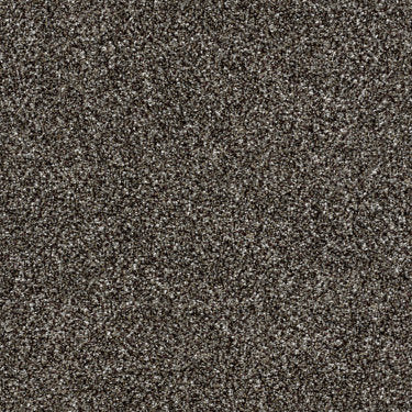 Work the Color Carpet