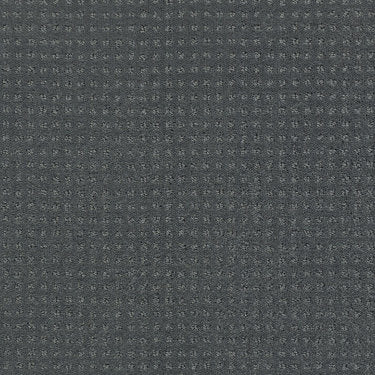 Alluring Disposition Carpet