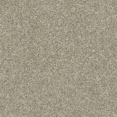 All Over It I Carpet