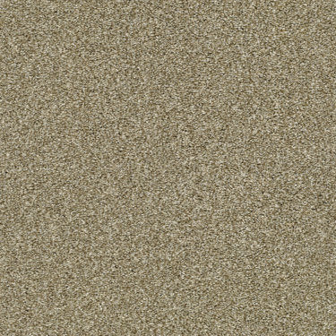 Cabana Life (T) Carpet