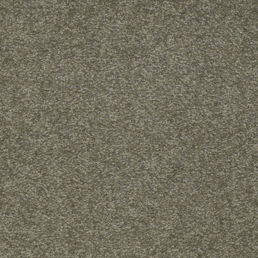 Sandy Hollow II 15 Carpet